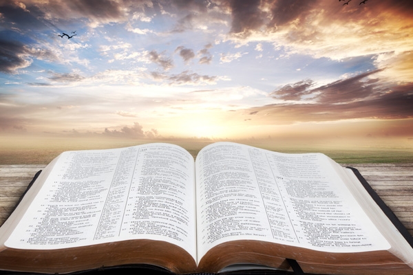 最新！2022年QS世界大學排名發布，MIT全球第一！清華北大擠進前20！